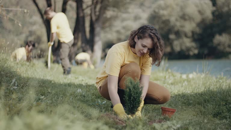 Best Root Management and Removal  in Hayward, WI
